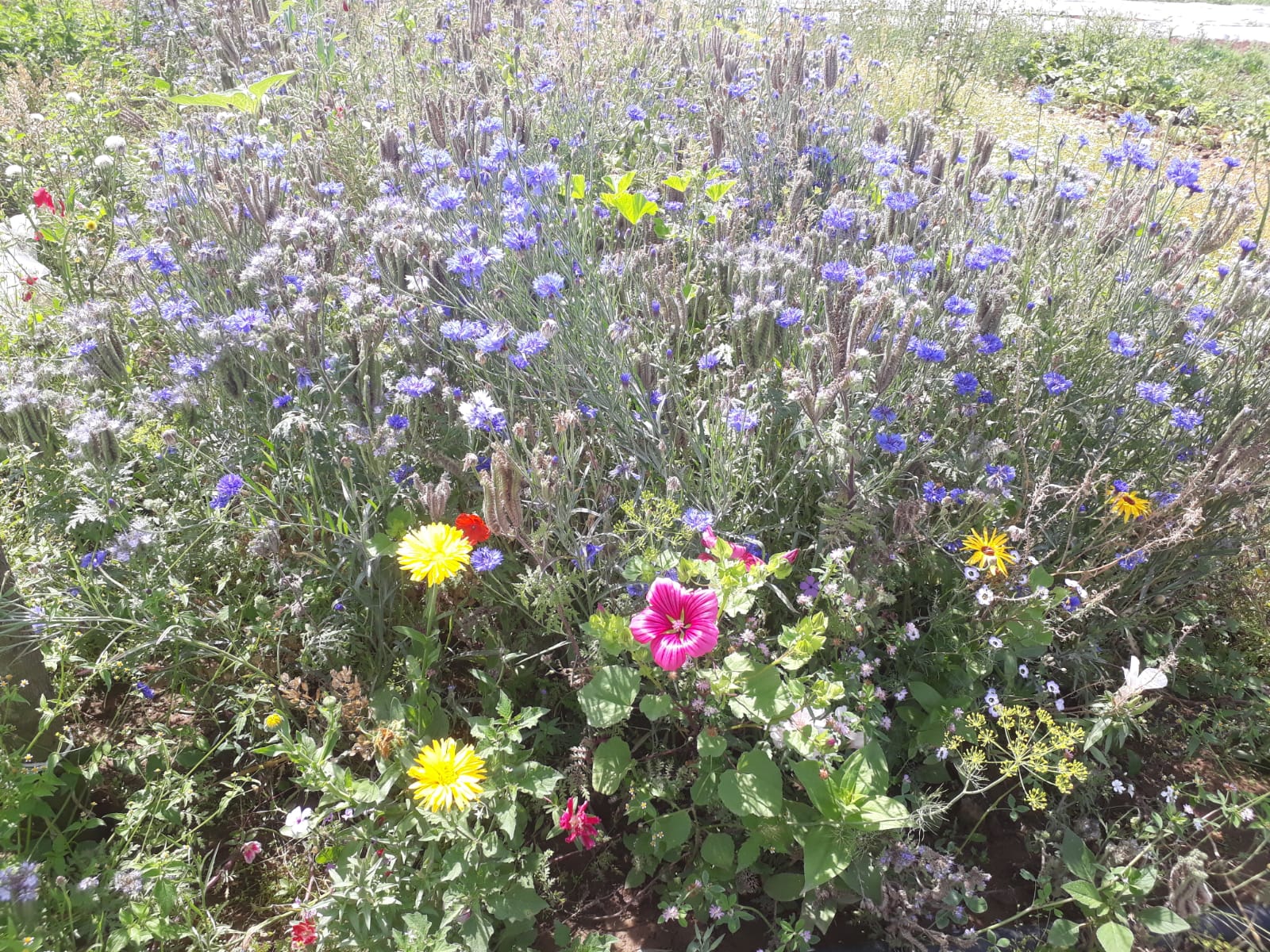 Erste Impressionen